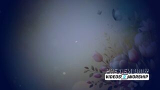 Read more about the article Mothers Day Butterflies And Flowers Video