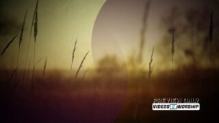 Read more about the article Outdoors Nature Tall Grass Backdrop Loop