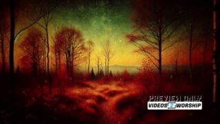 Read more about the article Autumn Scene And Flying Leaves Fall Motion