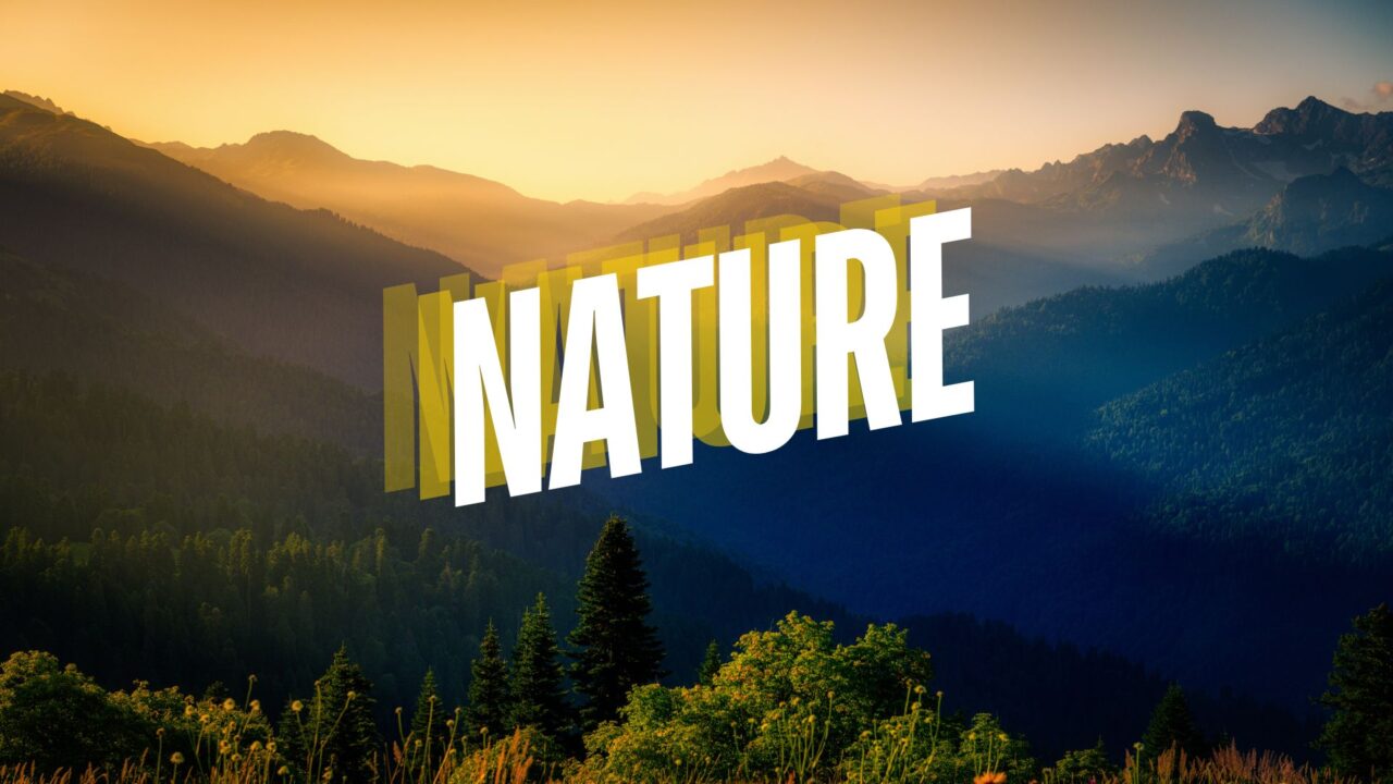 nature summer motion worship backgrounds