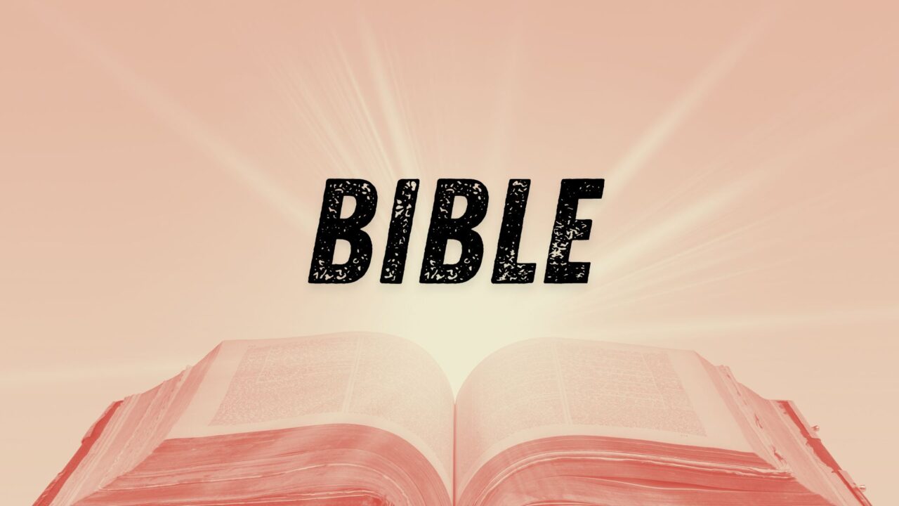 Browse Media bible