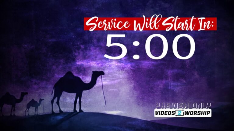Read more about the article Christmas Five Minutes Countdown Three Camels