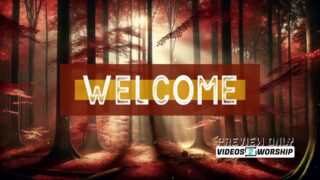 Read more about the article Autumn Colorful Fall Forest Welcome Title Motion